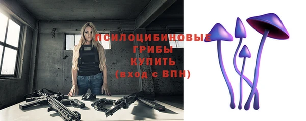 первитин Новодвинск