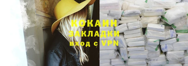 первитин Новодвинск