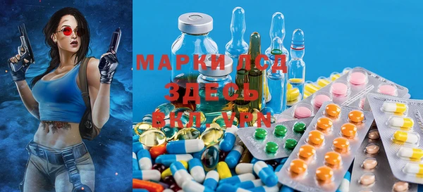 PSILOCYBIN Новокубанск