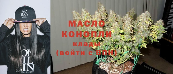 первитин Новодвинск