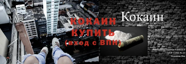 ALPHA PVP Новозыбков