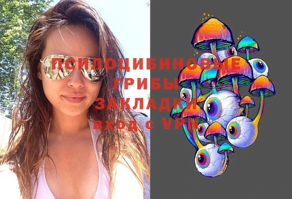 PSILOCYBIN Новокубанск