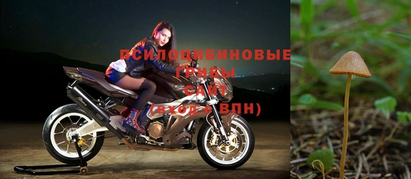 первитин Новодвинск