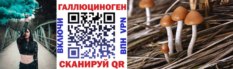 Купить  Псков  Галлюциногенные грибы Cubensis 